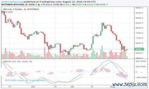 LON TokenIM：解密去中心化金融中的数字资产管理利器