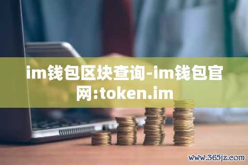 钱包交易记录删了还能查到吗_如何通过im钱包官网查询历史交易记录_钱包官方充值平台充值记录